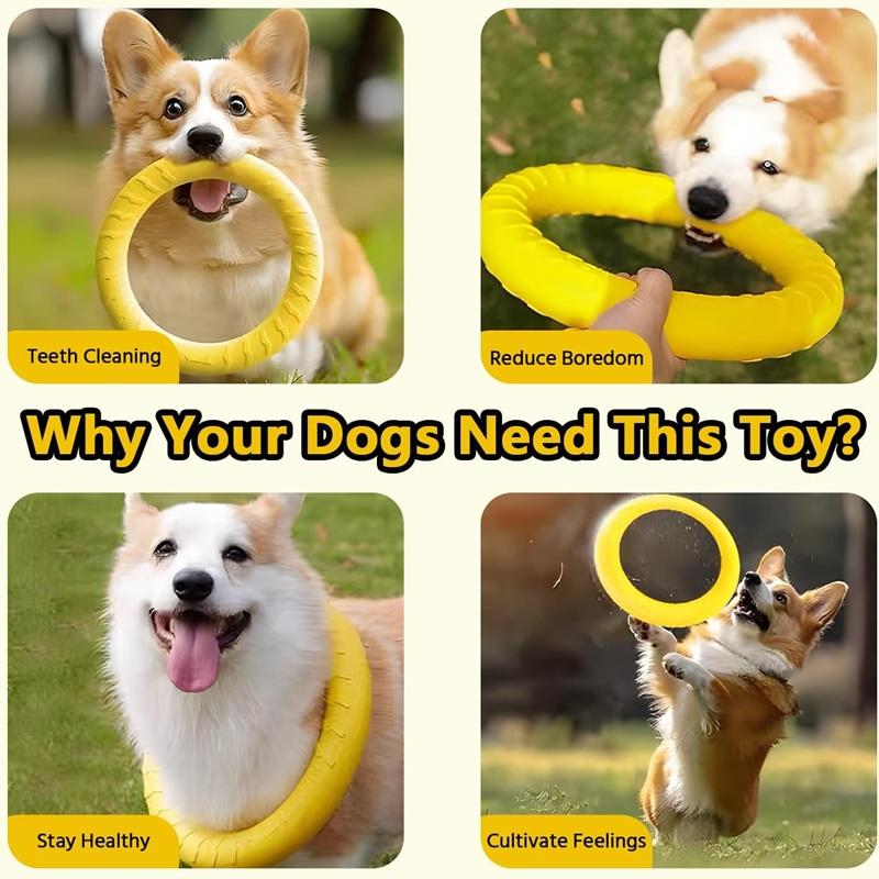 Dog Toys Pet Flying Discs Eva Dog Training Ring Puller Resistant Toys For Dogs Floating Puppy Bite Ring Toy Interactive