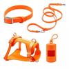 Dog Harness Set PVC Waterproof Chew Proof Small Dogs Leash Collar