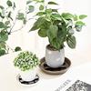1-50PCS Plant Saucer Flower Pot Stand, Plastic Drainage Rack with Breathable Mesh Pad, Reusable Gardening Bottom Base for Indoor Outdoor
