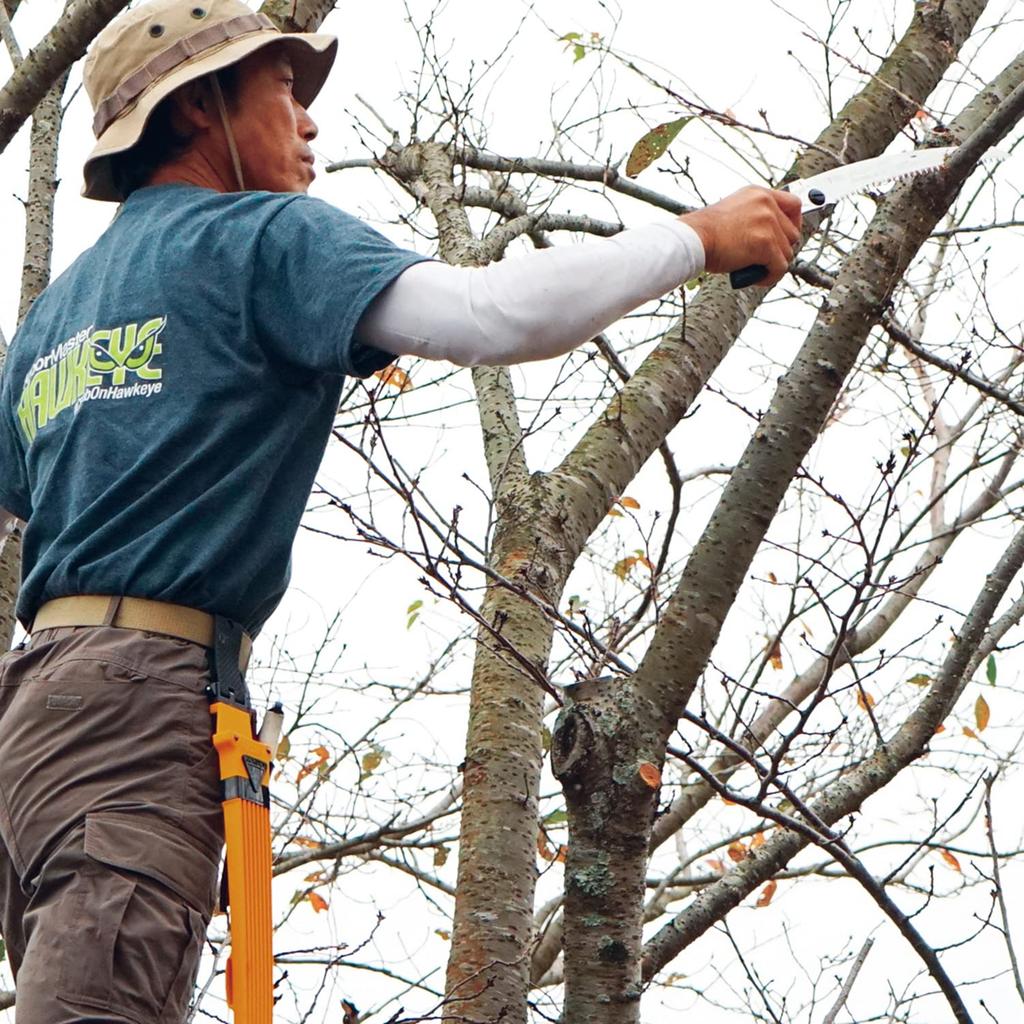 U-M Industry (Silky) Scabbard Saw Rubber Boy 7 Curve Rough Grain 240mm 465-24 Easy and Speedy Pruning of Live Trees