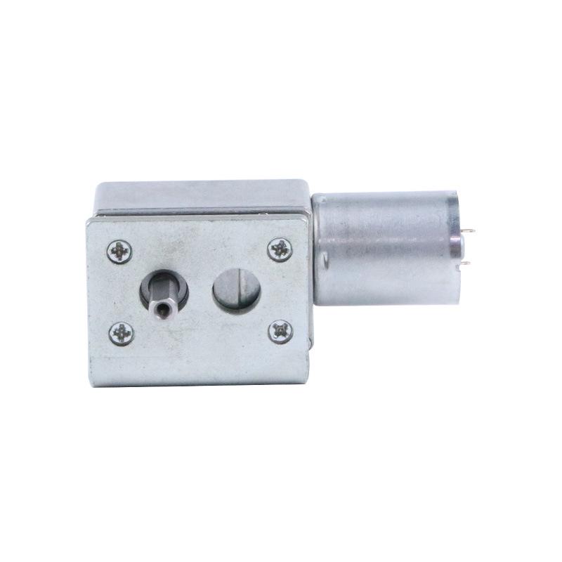 JGY370 Dual-axis DC Geared Motor: Miniature Worm Gear High Torque Motor (24V/12V/6V)