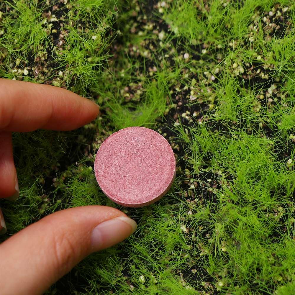 Universal Phosphorus Organic Fertilizer Speed Up Growth Plant Nutrition Tablets Potassium Slow-Release Tablet Flowers