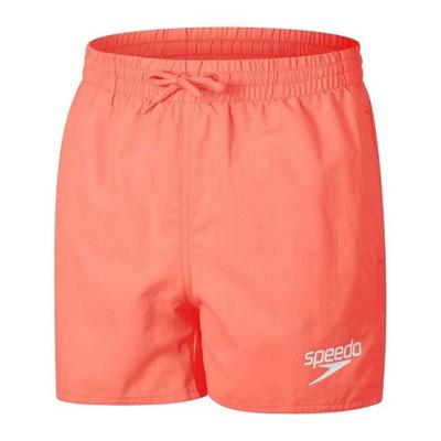 Mens Logo Swim Shorts