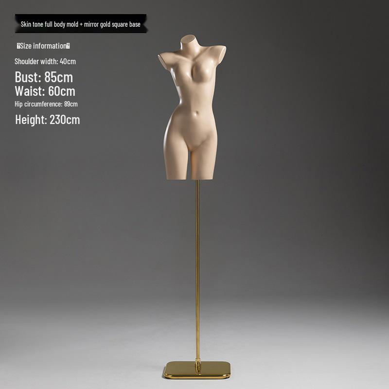 Female and Male Torso Mannequin Stand for Displaying Underwear and Bras