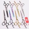Purple Dragon Hairdressing Scissors, 6.0" Plum Blossom Handle: Straight & Thinning Shears for Hair Cutting, Bangs - Gold/Color/Black/Silver.
