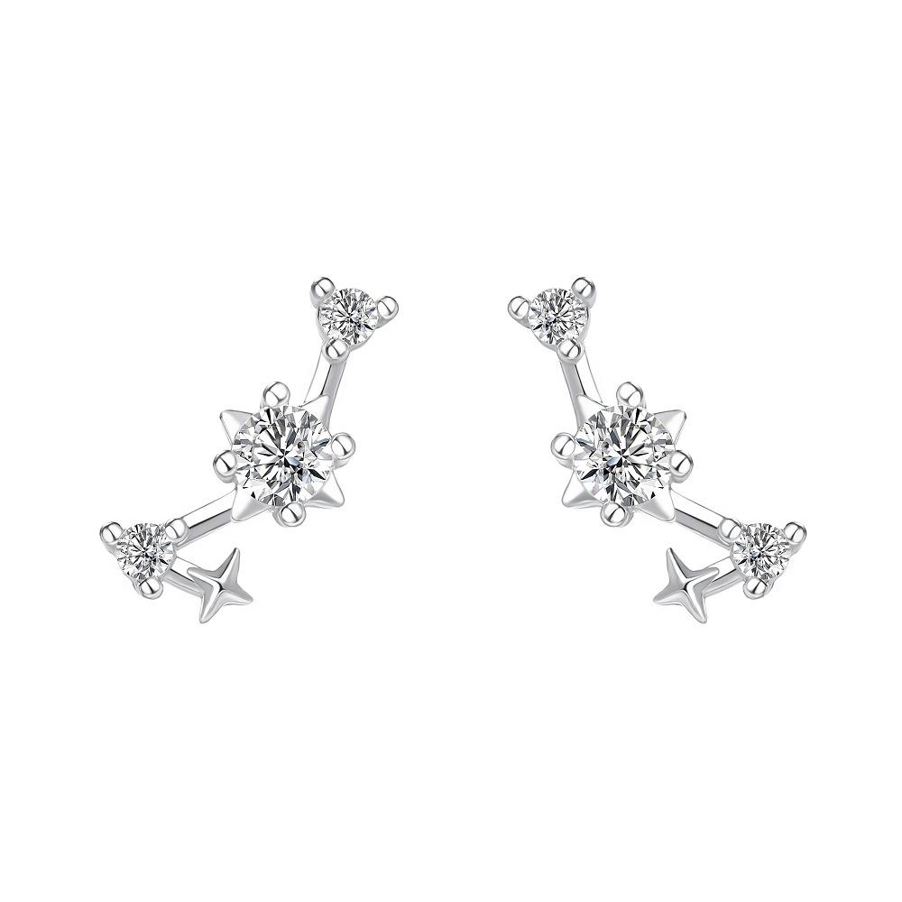 Korean Fashion Twelve Constellation Earrings for Women S925 Sterling Silver Exquisite Sparkling Zircon Earrings