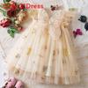 Korean Style Girl Dress With Embroidered Flowers And Tulle For Toddler Girls