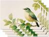 Eukalyptus Tischset Set of 4 Frühling Sommer Kleine Vogel Tischsets Saisonale Tischmatten für Innen Außen Haus Küche Esszimmer Dekor Party Bauernhaus Burla