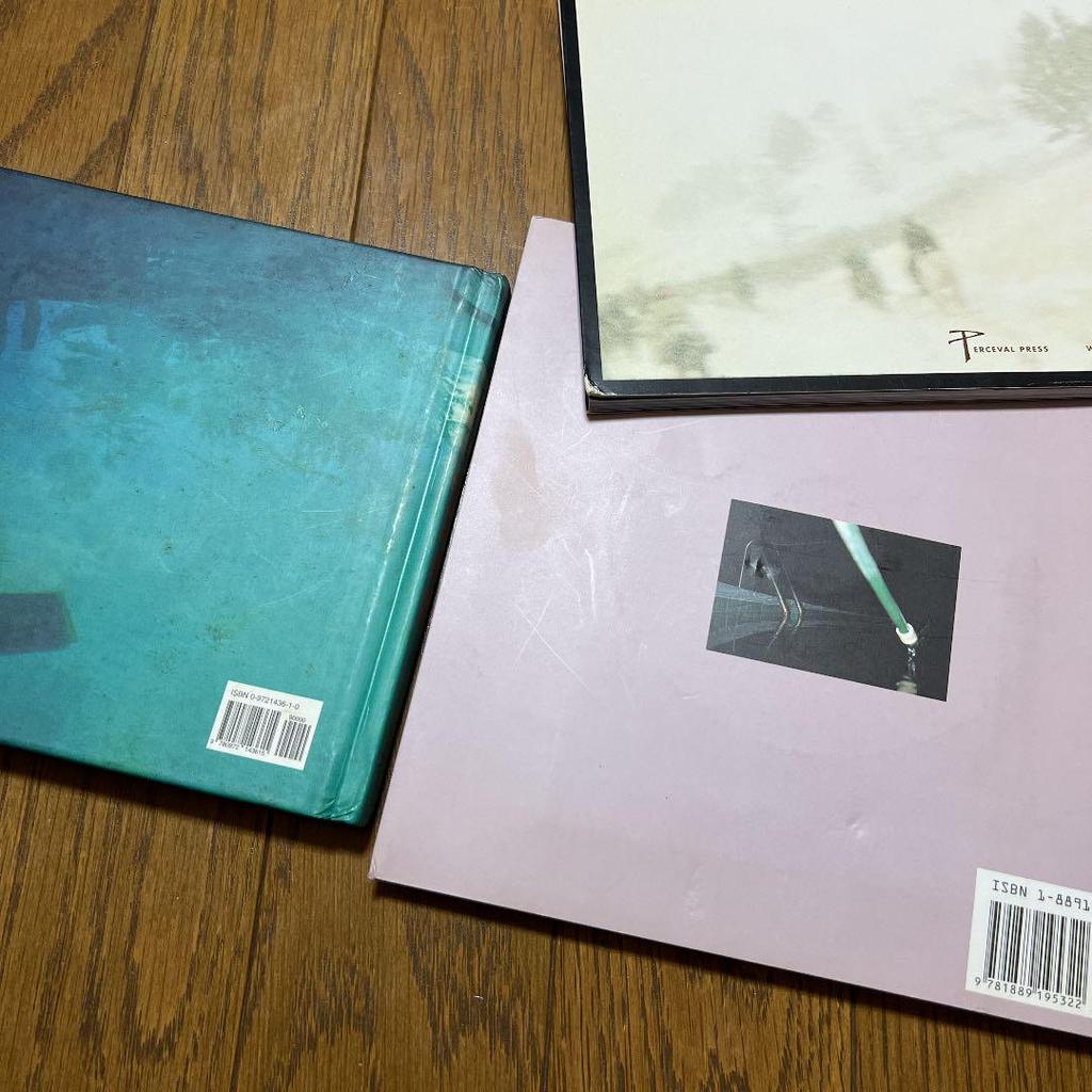 [USED] Sale Viggo Mortensen Collection 4-Book Set / Foreign Book Photo Book