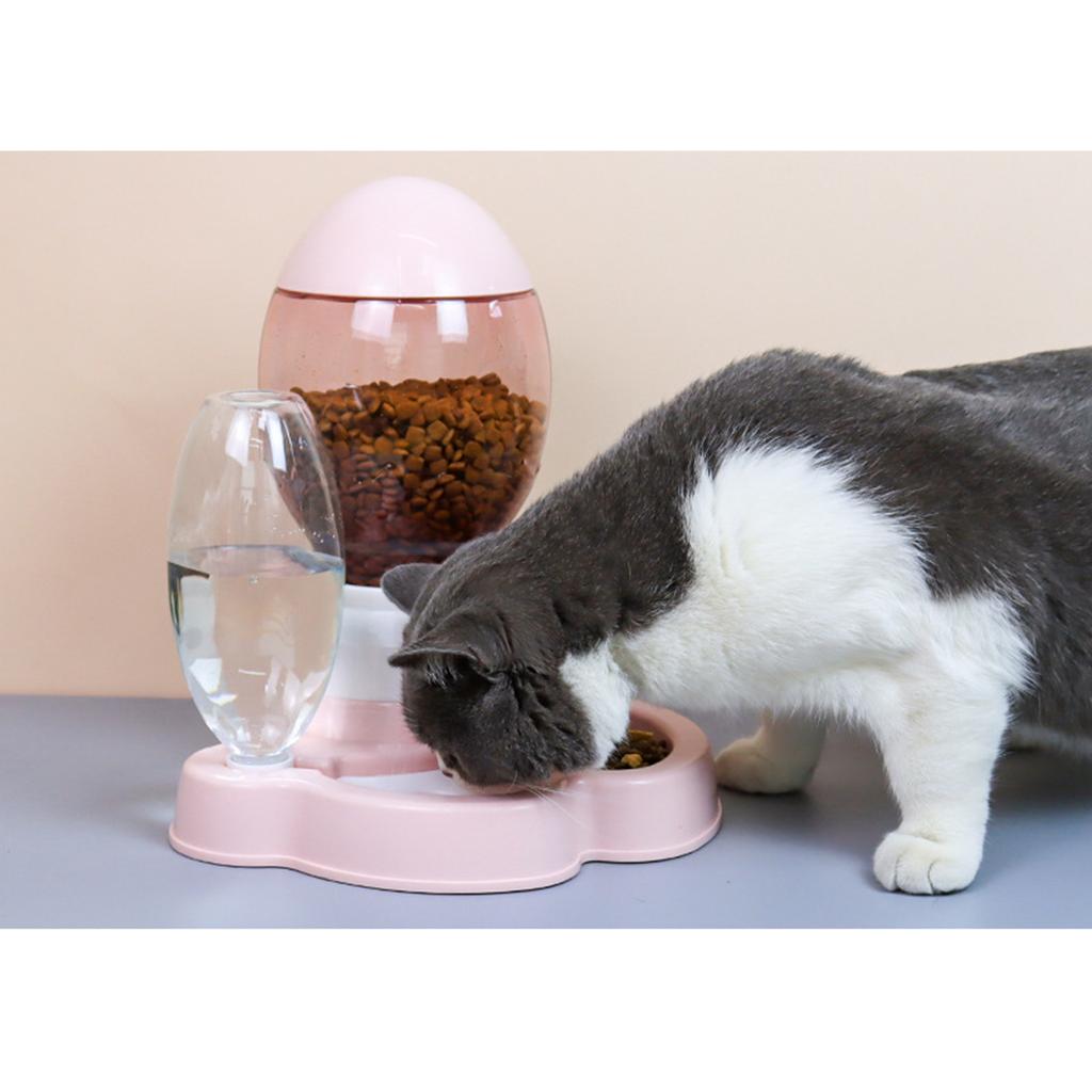 gravity feed cat feeder