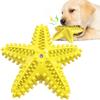 New Dog Starfish Sound-making Toys, Pet Teething Sticks, Dog Toothbrushes, Pet Supplies
