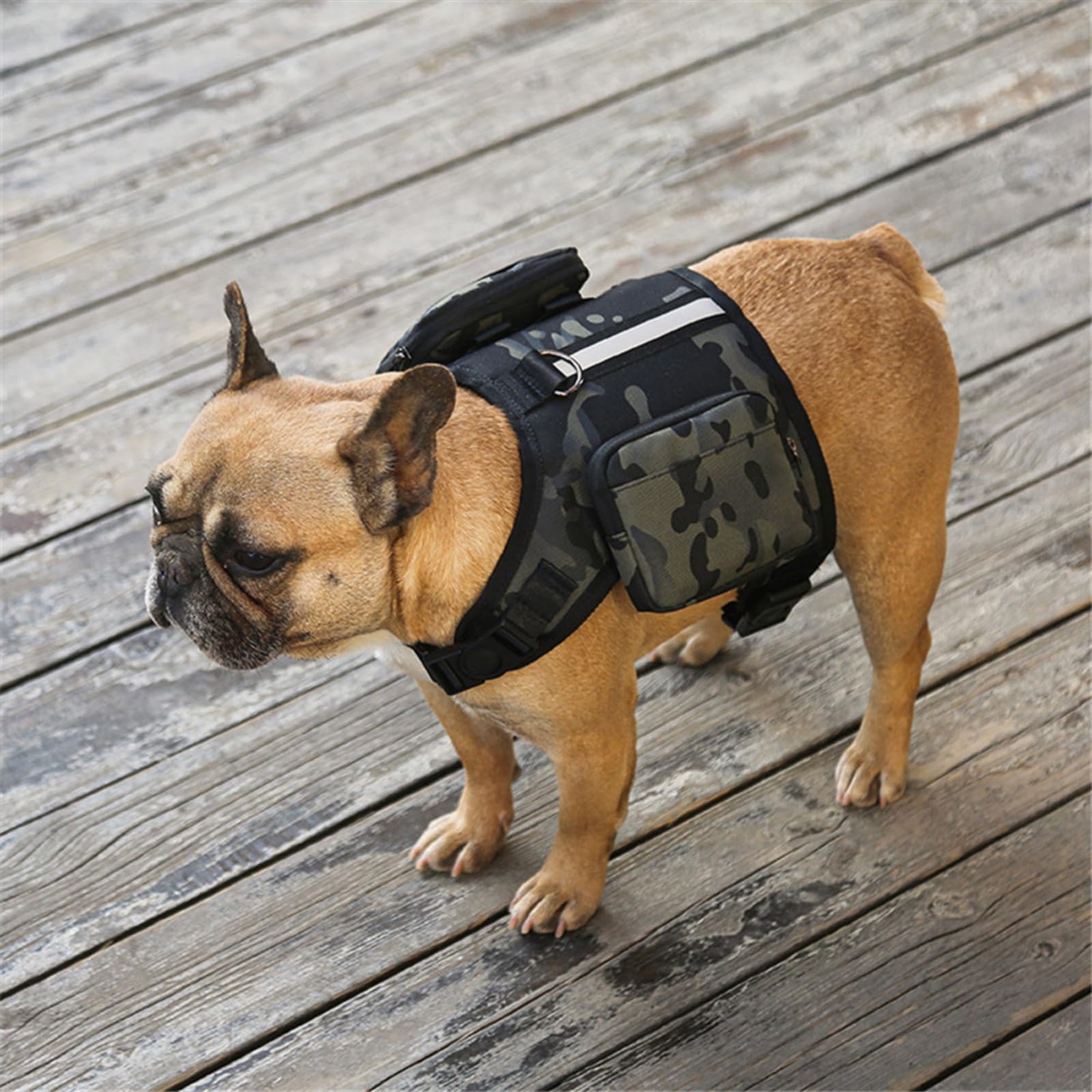 

SHINIQLORA Dog Backpack Harness Set Pet Backpack Dog Rucksack Dog Cat Breathable Multifunctional Lightweight Reflective Tape Walking Outdoor Travel