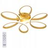 Ceiling Lamp Hanging Chandelier Led + Remote Control 70W 58Cm