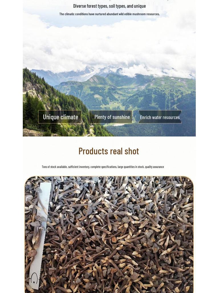 Yunnan Specialty Black Chicken Mushroom - Dried & Artificially Cultivated