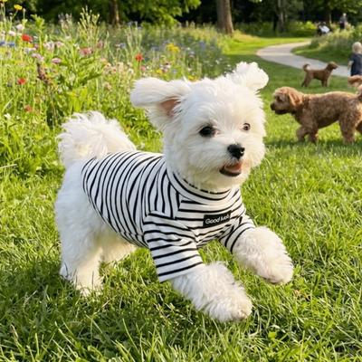 High Collar Dog Thermal Shirt Warm Striped Sweatshirt Dog Clothing Dog T-shirt  Small Medium Dog