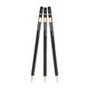 29pcs Drawing Sketch Set Charcoal Pencil with Eraser Art Craft Painting Sketching Kit