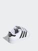 Adidas Shoes - SUPERSTAR CF - Shell Head Shoe - Adidas Clover EF4842