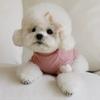 Love Winter Warm Pet Dog Clothes Base Shirt Cute Love Bear Teddy Yorkshire Hoodie Cat Pet Warm Clothes Designer Puppy Clothing