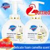 Safeguard Antibacterial Foaming Hand Wash with Camellia Scent (Twin Pack)