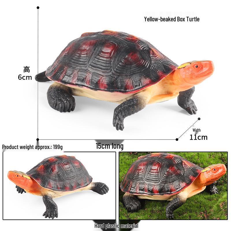 Children's Cognitive Marine Animal Models: Sea Turtle and Tortoise Toys