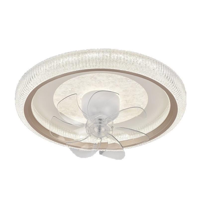 Oeny Smart Ceiling Fan Light