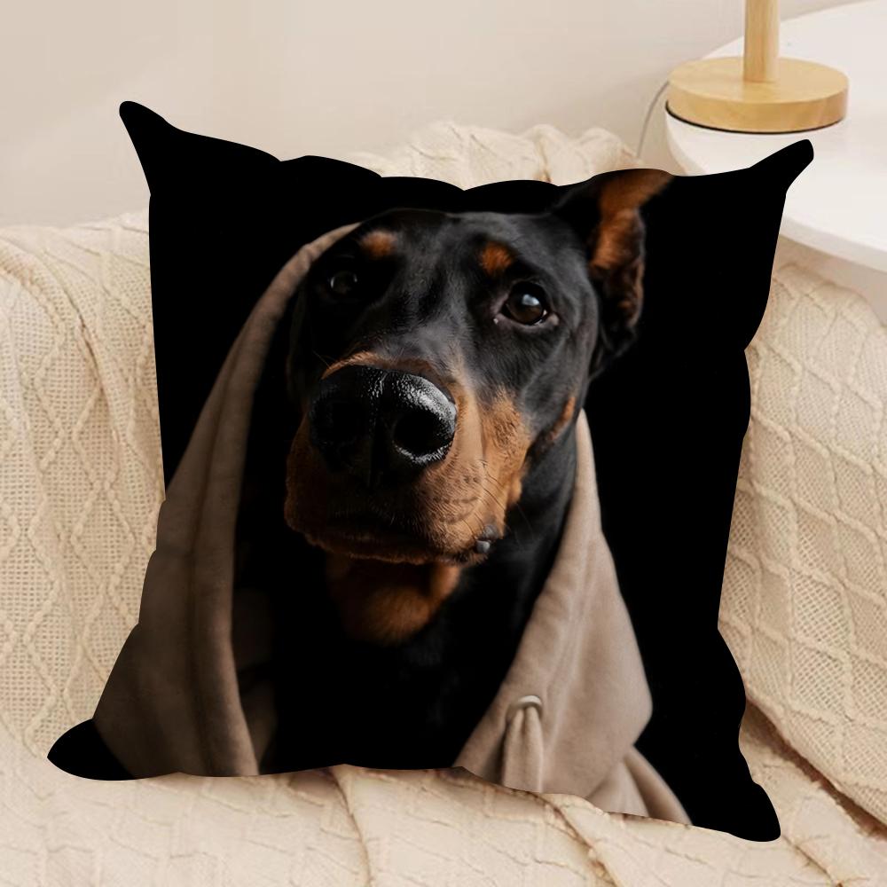 Handsome Doberman Cushion Cover Pillowcase Ultra Soft Skin Friendly Fabric Cloud Like Comfort & Concealed Zipper