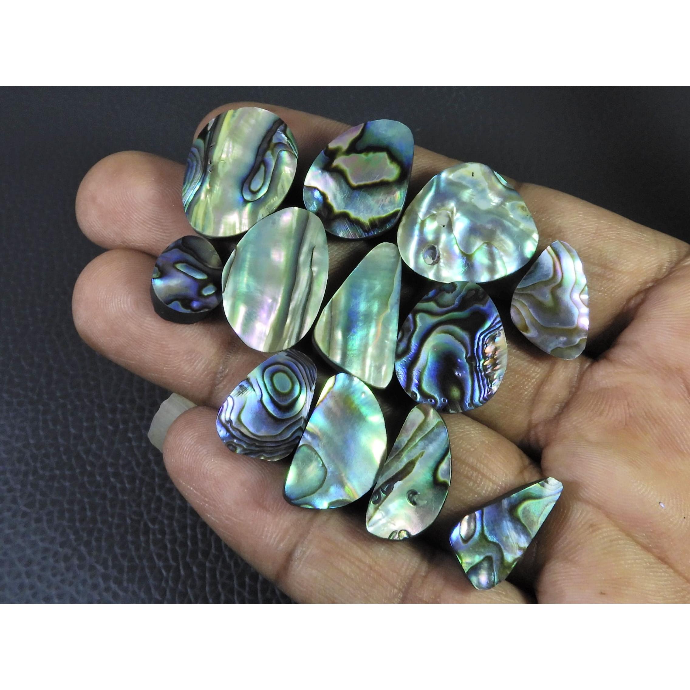 12Pcs Abalone Shell Fancy Cabochon Loose Natural Gemstone 131Cts.Lot 12-21MM C-1704