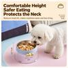 Stainless Steel Pet Slow Feeder Bowl 2 in 1 Dog Bowls Cat Food Bowl  for Small Medium Dogs & Cats