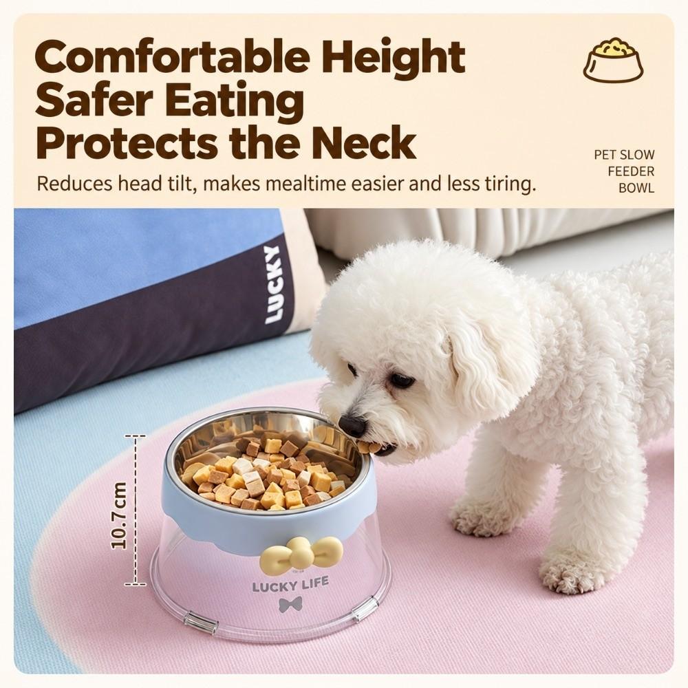 Stainless Steel Pet Slow Feeder Bowl 2 in 1 Dog Bowls Cat Food Bowl for Small Medium Dogs & Cats