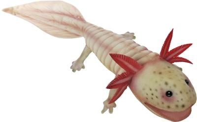 Collezionismo e modellismo – Modellini e action figure