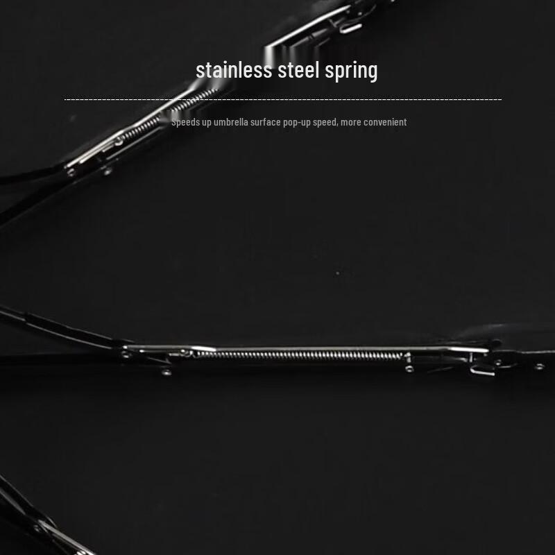 Jieguo Automatic 10-Rib Business Sun & Rain Umbrella