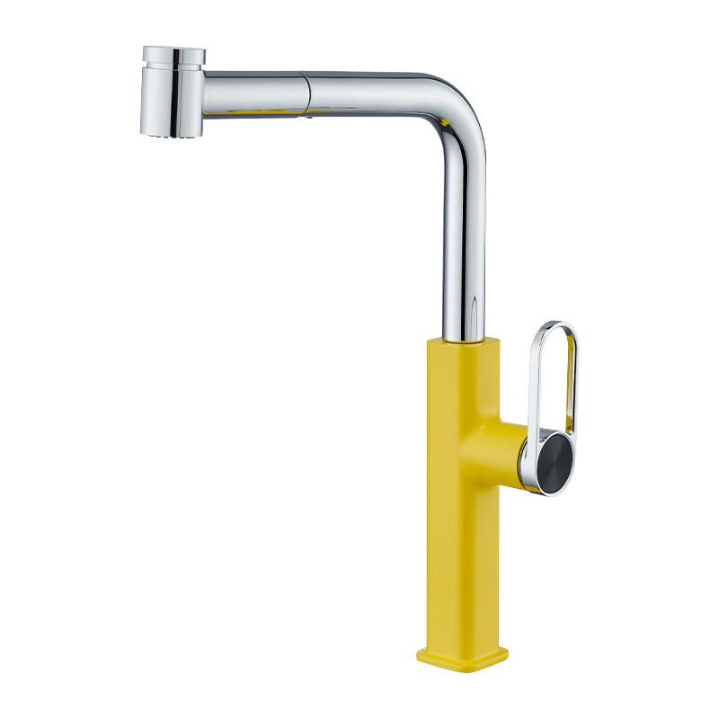 TLXT Kitchen Pull-Out Hot & Cold Faucet