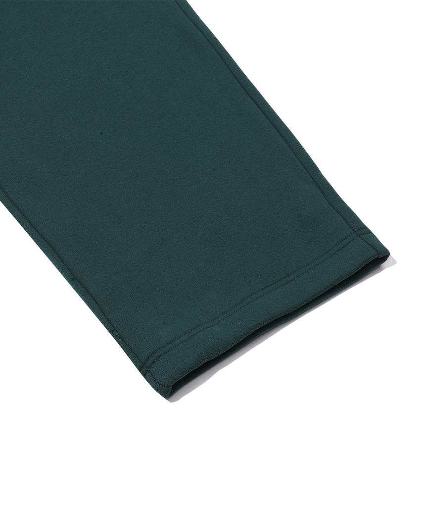 VOLCOM Snow & Surf Brushed Sweatpants (Dark Green)