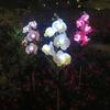 New Solar-powered Outdoor Lawn Lamp Courtyard Garden Decorative LED Lawn Ground Insert Lamp Simulated Phalaenopsis Flower Lights