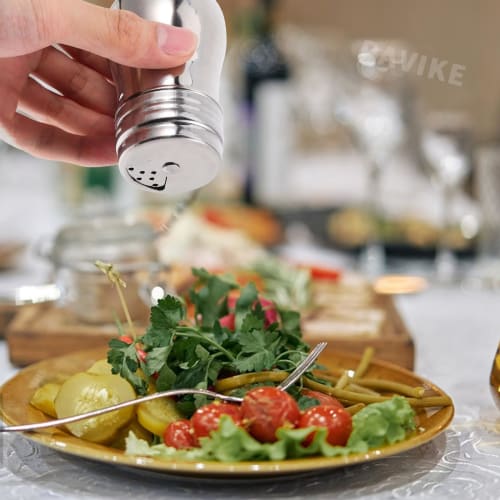 Pot à Épices en Acier Inoxydable, Salières et Poivrières, Lot de 2, Hermétique, Compact, Design Pivotant, Trou d'Épinglage 2/4/6 mm, Étanche et Résistant à l'Huile, Fac