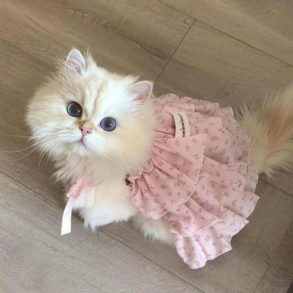 New Spring Summer Pet Dresses Puppy Dog Outfits Print Multilayer Lace Sling Princess Dress for Small Medium Dog Pet Clothes