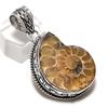 Natural Ammonite Fossil Gemstone Handmade 925 Sterling Silver Pendant 1.89" U5h73