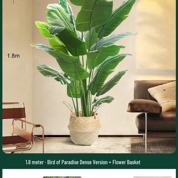 High-End Indoor Bird of Paradise Decor: Luxury Potted Traveler's Palm