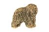 Polish Lowland Sheepdog, PON, Valee Sheepdog II - gold-plated pin brooch, elegant dog ornament, unique pin by Art-Dog brand