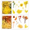 Dried Flower Material Set Dried Flower Package Flower Arranging Supplies for DIY