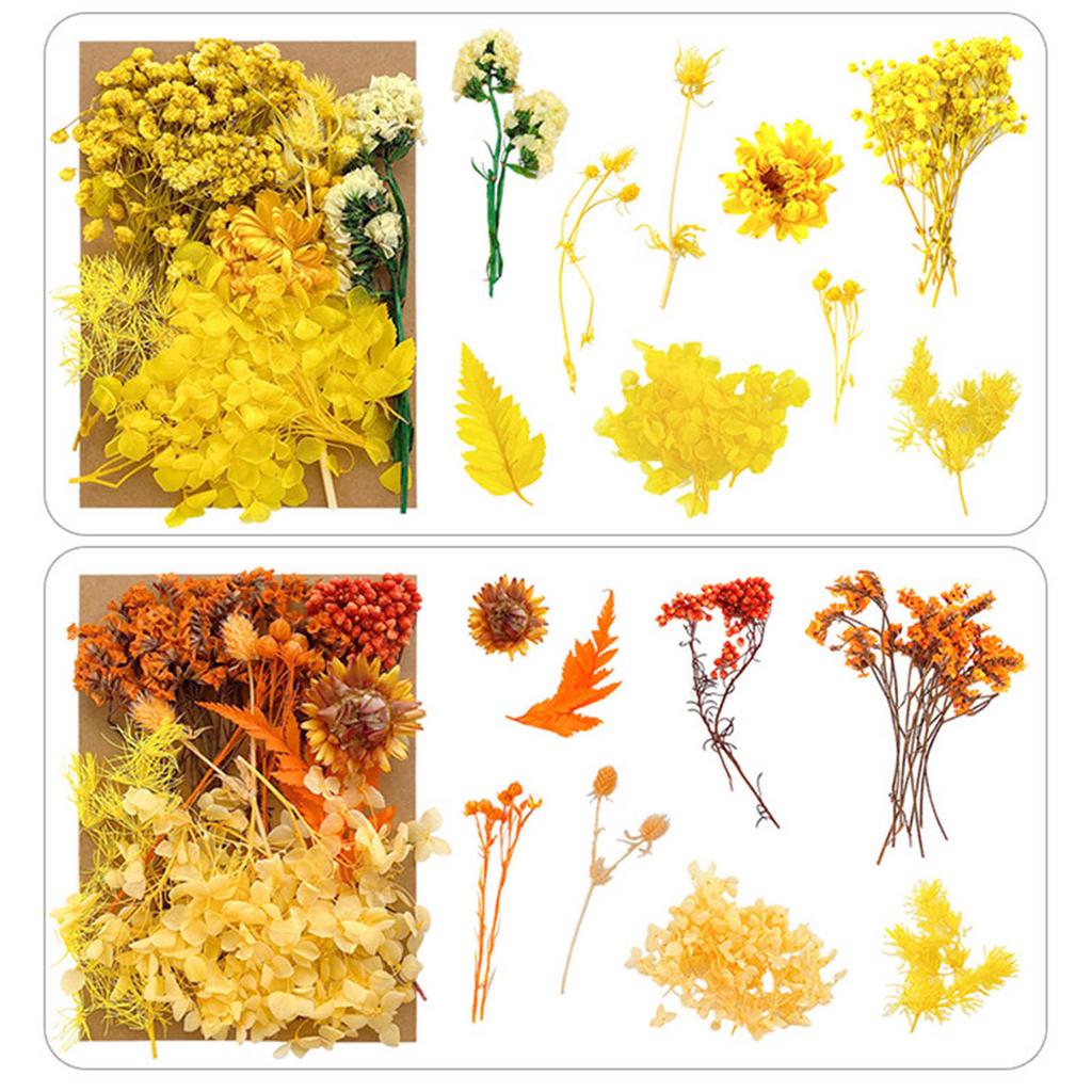 Dried Flower Material Set Dried Flower Package Flower Arranging Supplies for DIY