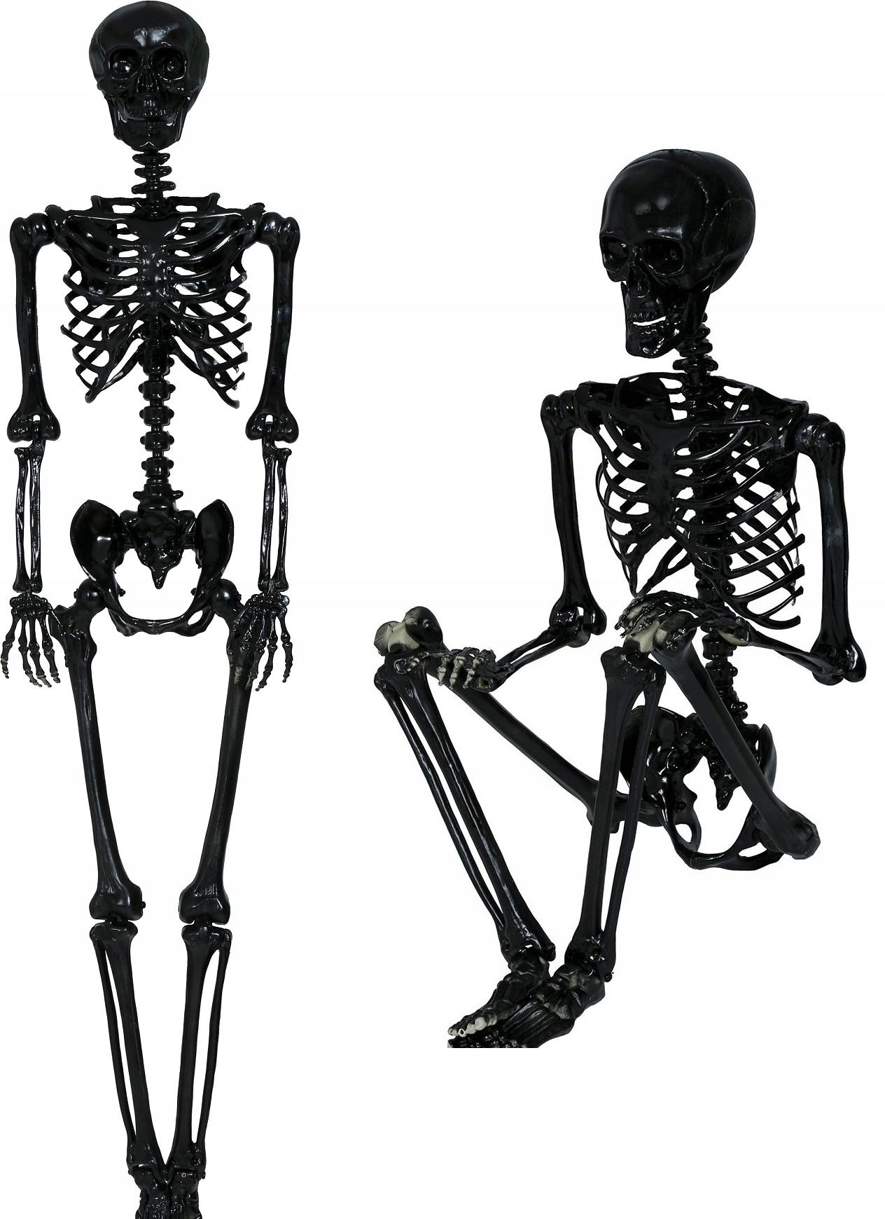Zwarte Menselijke Skeletbotten Halloween Feest Decoratie 90cm