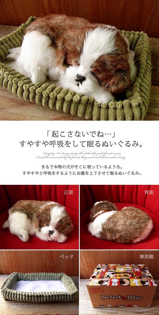 [Ninya a Kino] Perfektní mazlíček Shih Tzu velikosti S (Cca. 22 cm) Plyšový pes Realistický Jako živý Břicho se pohybuje, jako by klidně dýchal