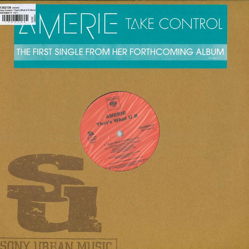 

12inch Record AMERIE - Take Control / That s What U R 82876888111 Sony Urban Musi 2006 US Rap & Hip-Hop/R&B Used