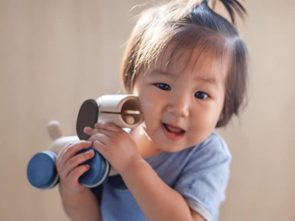 PLANTOYS JAPAN Pull & Push Puppy 5724