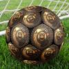 Steampunk Lizard Emblem Round Football Size 5 Adult Ball Suitable for Training Matches and Outdoor Team.