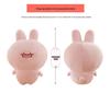 Asa Mimi Plush Toy - Cute Sleep Companion, Soft Cartoon Rabbit Cushion Gift for Girls