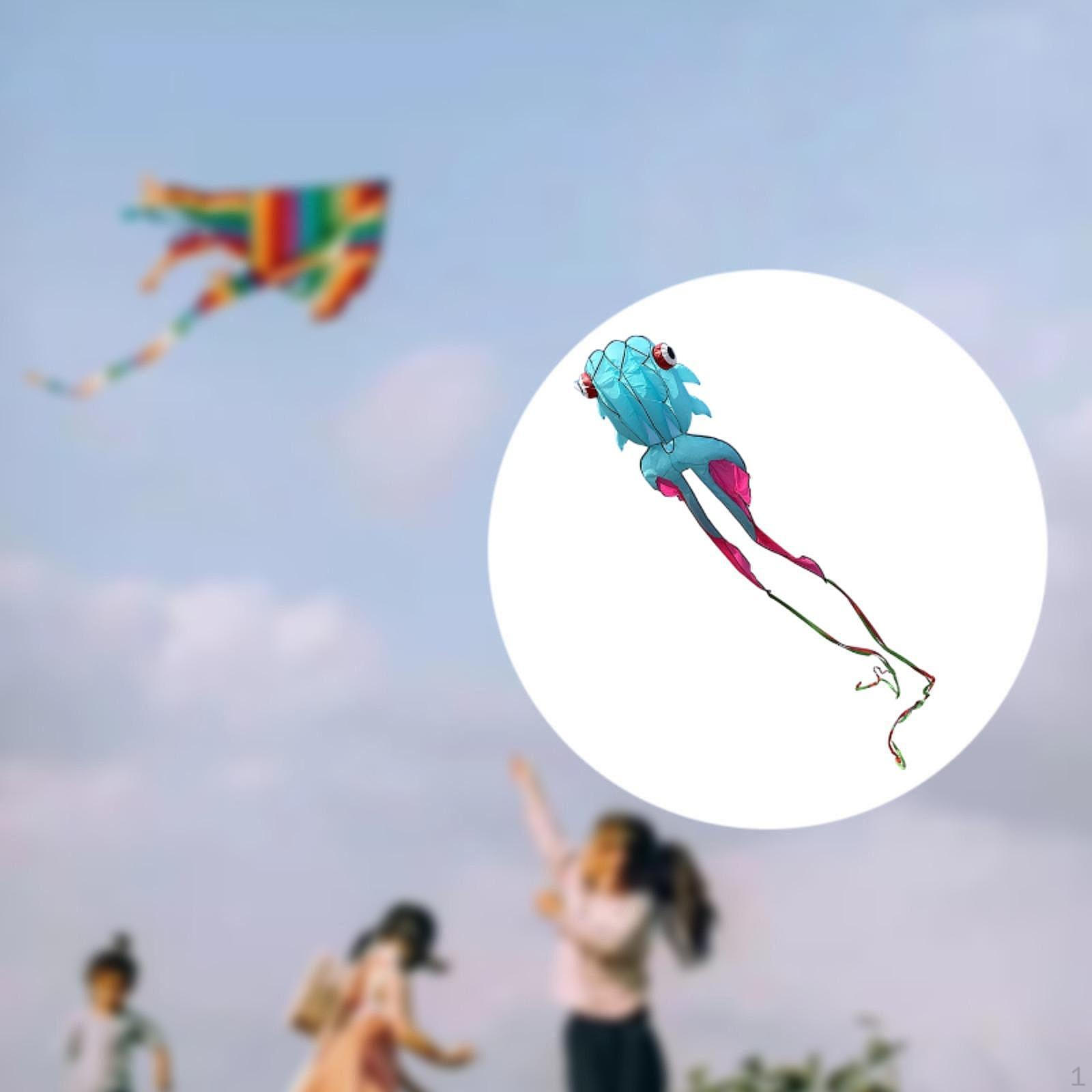 

3D Воздушный змей для активного отдыха Новинка Карп Ветер Огромный размер Муха для пляжа и двора синий