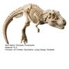 Yousheng Funny Dinosaur Ornaments, Decorative Lying Dinosaur Figurine, 3D Computer Monitor Dinosaur Ornament for Home Office