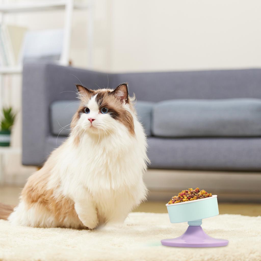 Adjustable Height Ceramic Elevated Cat Dog Bowl Detachable Easy Cleaning Raised Feeding Bowl With Anti Slip Pad for Food Water